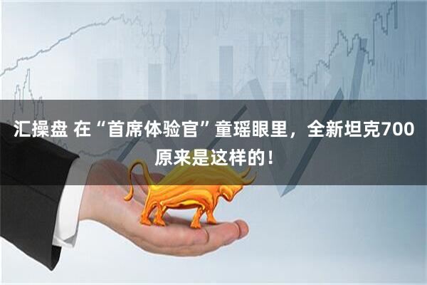 汇操盘 在“首席体验官”童瑶眼里，全新坦克700原来是这样的！